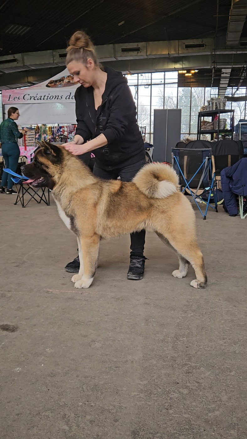 Vantage Des Gardiens De L'arche De Noé