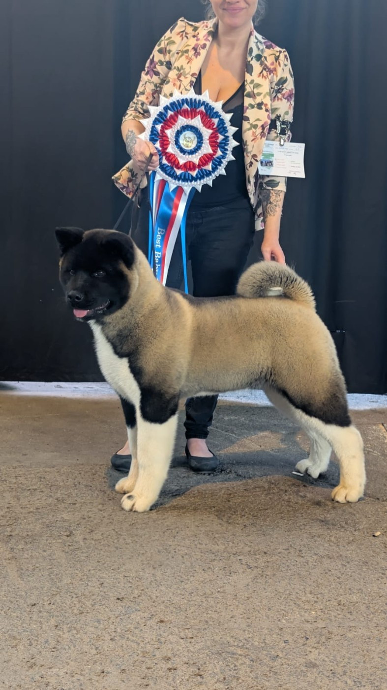 Addicted to you Des Gardiens De L'arche De Noé